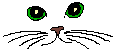 Augen22
