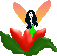 Elfen Gif
