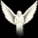 Engel Gif