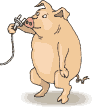 Ferkel Gif