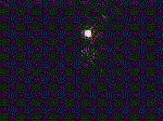 Feuer Gif