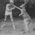 Film Gif