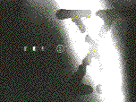 Film Gif