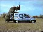 Film Gif