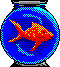 Fisch Gif