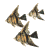 Fisch Gif
