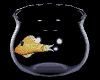 Fisch Gif
