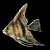 Fisch Gif