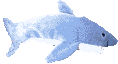 Fisch Gif