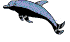 Fisch Gif