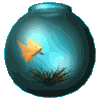 Fisch Gif