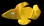 Fisch Gif