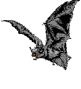 Fledermaus