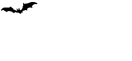Fledermaus