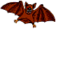 Fledermaus