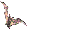 Fledermaus
