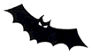Fledermaus