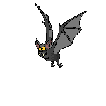 Fledermaus