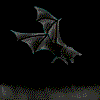 Fledermaus