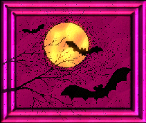 Fledermaus