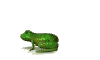 Frosch