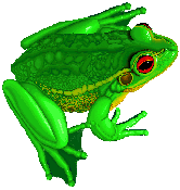 Frosch