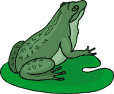Frosch