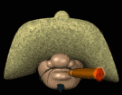 Gesichter Gif