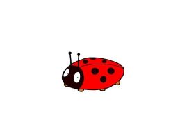 Insekten JPG