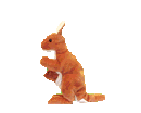 Kanguru Gif