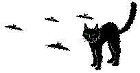 Katzen Gif