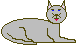 Katzen Gif