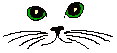 Katzen Gif