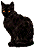 Katzen Gif