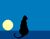 Katzen Gif