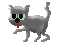 Katzen Gif