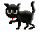 Katzen Gif