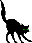 Katzen Gif