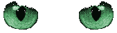 Katzen Gif