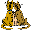 Katzen Gif