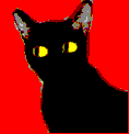 Katzen Gif