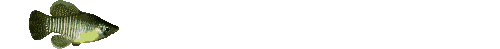 Linien Gif