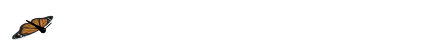 Linien Gif