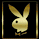 Logo Gif