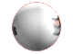 Logo Gif