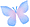 Schmetterling6