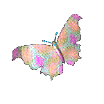 Schmetterling23