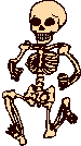 Skelett 023