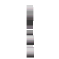 Skelett 084