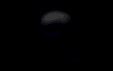 Skelett 136